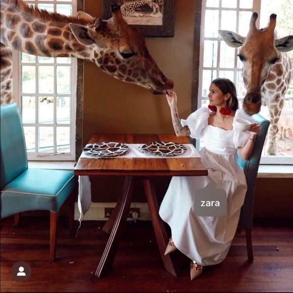 ZARA WOMAN NWT BLOGGERS FAVORITE WHITE DRAPED POPLIN DRESS SIZE LARGE - Picture 3 of 15